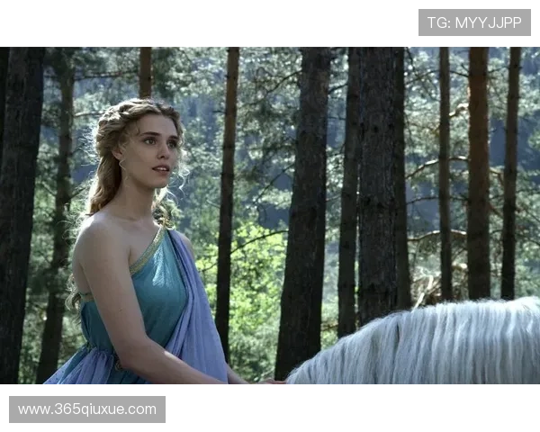 狮子之心足球场上的明星传奇与荣耀之路