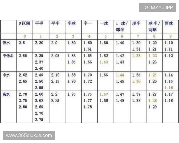 杭州羽毛球队状态排名创新高展现团队实力与潜力